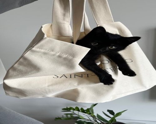 Nimbus Canvas Tote Bag